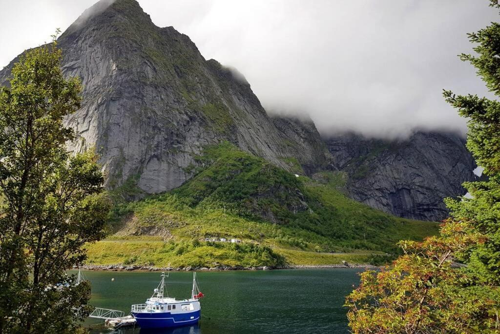 Cozy House By The Fjord In The Heart Of Lofoten Reine Ngoại thất bức ảnh